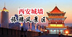 黄片女人的逼中国陕西-西安城墙旅游风景区