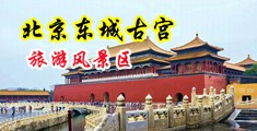 操逼片黄大全中国北京-东城古宫旅游风景区